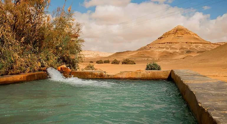 Bahariya Oasis