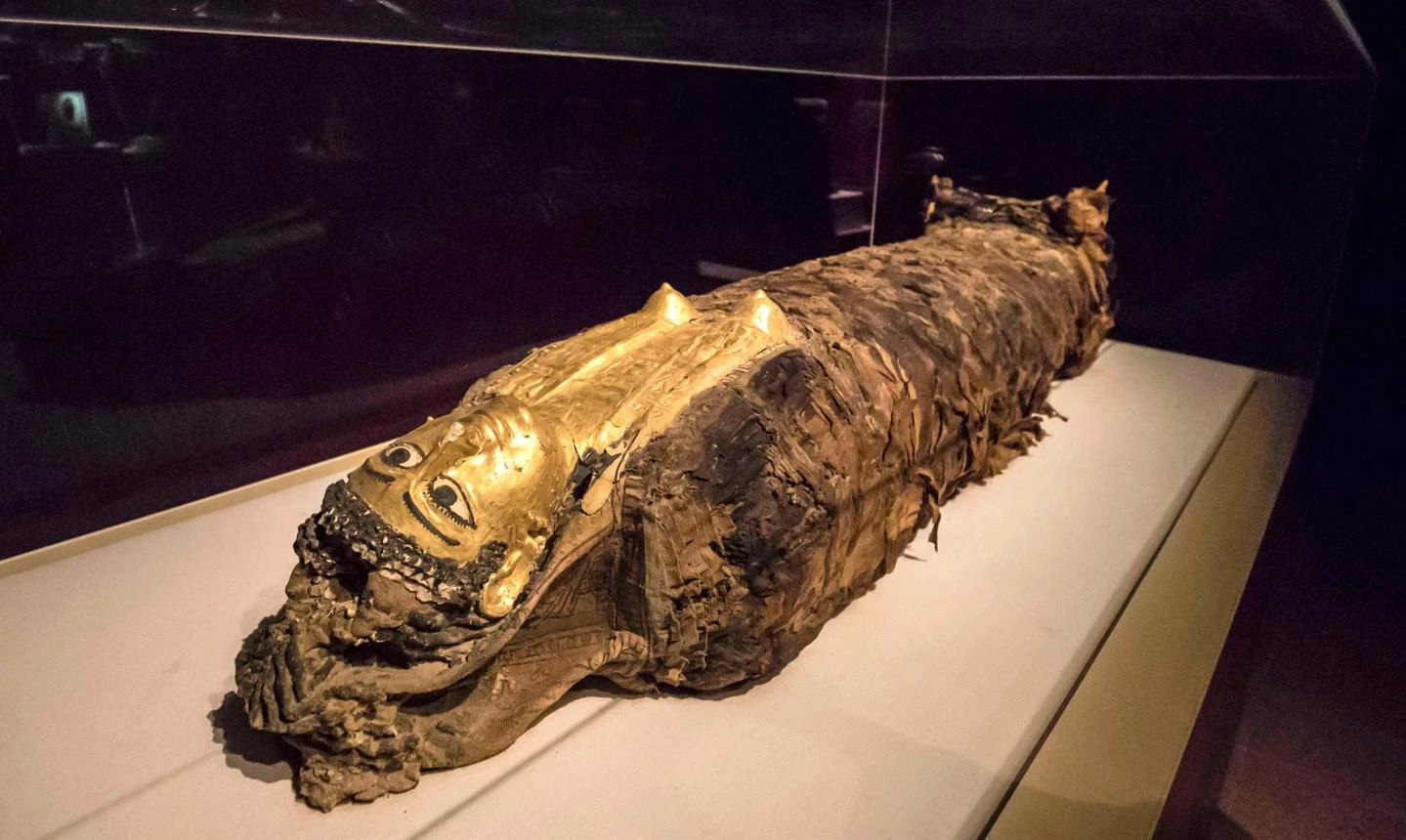 Golden Mummies Hall