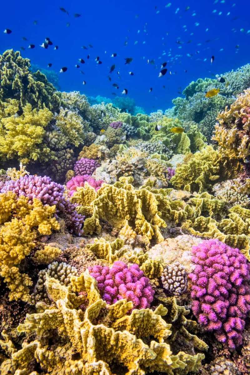 https://images.openai.com/static-rsc-4/Jx9izU-DTBHV7e_Z8fesqJEED7IBqrVVwT7f2jn-k4Bwg-yDWW9U54q8RP_PRvQ2iScn_mazaY36xwe1m1rIM9M8Dvns1SMImYcqjOPeouOq5P8xAxmVTnmp-Cg8Xv0QMnzwRDx6PhZhwn-wxS4euhhwnYyXGRpYefOgyhUHtH60Rr-ODtwk5Cyjlf-0bnr-?purpose=fullsize