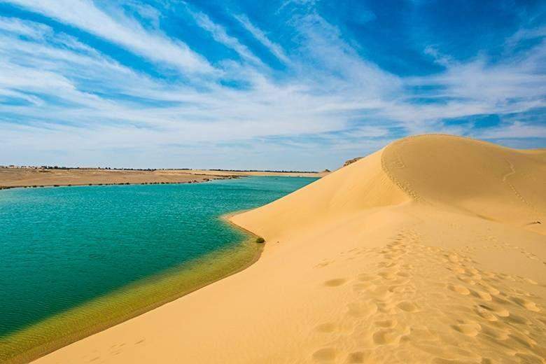 Excursion de dos dias al oasis de Fayoum y wadi el Hitan desde El Cairo