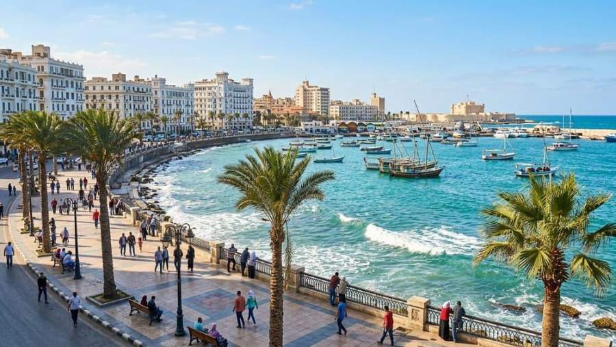 Alexandria Day Trip from Cairo: The Mediterranean City