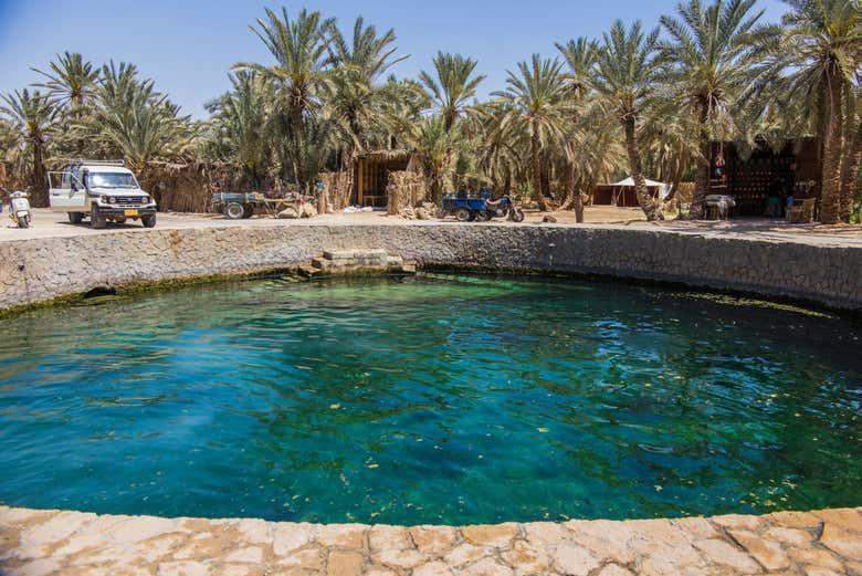 Excursi&oacute;n de 5 d&iacute;as a Alejandr&iacute;a y el desierto de Siwa desde El Cairo - Civitatis M&eacute;xico