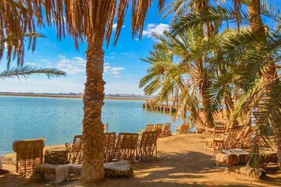 واحة سيوة تجذب السائحين فى فصل الشتاء.. الحفاظ على بيئتها وطبيعتها وتراثيها الفريد جعلها مقصدا عالميا للسياحية الشتوية.. بحيرات وعيون المياه الطبيعية وأشجار النخيل تشكل لوحة رائعة فى قلب الصحراء.. صور - اليوم السابع