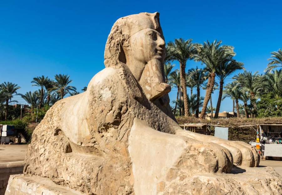 Sphinx of Memphis in the Village of Mit Rahina or Memphis Museum. Egypt