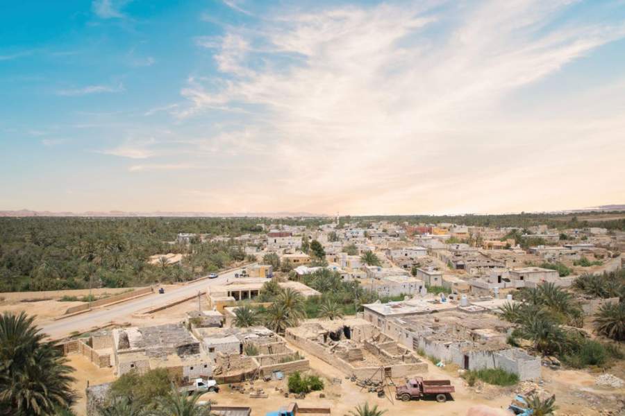 Beautiful view of the date grove from Gebel al-Mawta in Siwa Oasis