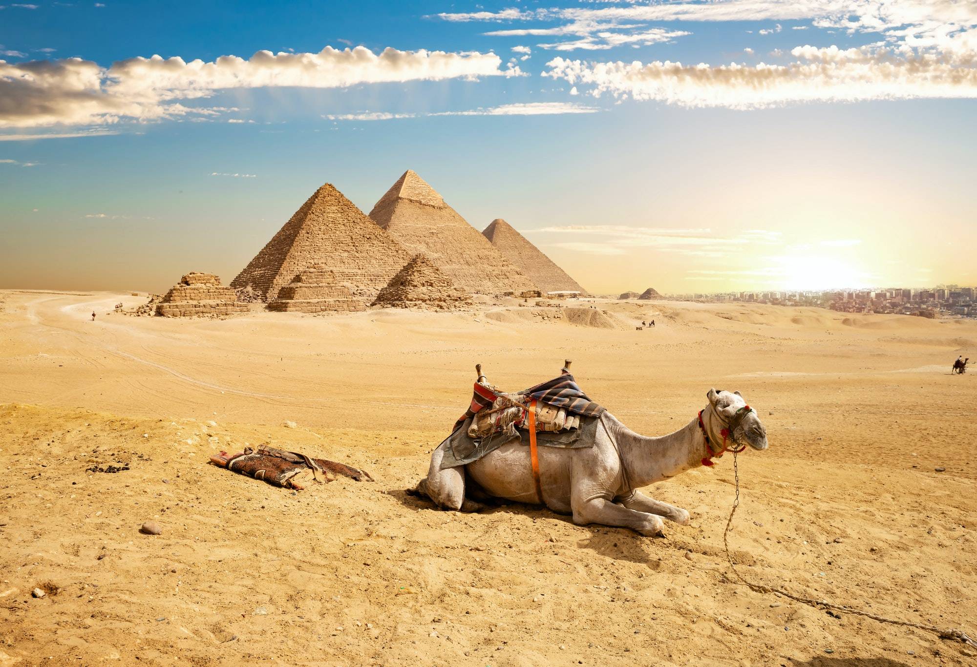Camel Ride at Giza Pyramids