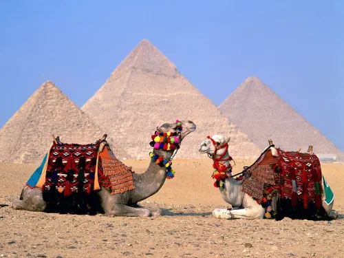 Giza Pyramids, Sphinx & Saqqara
