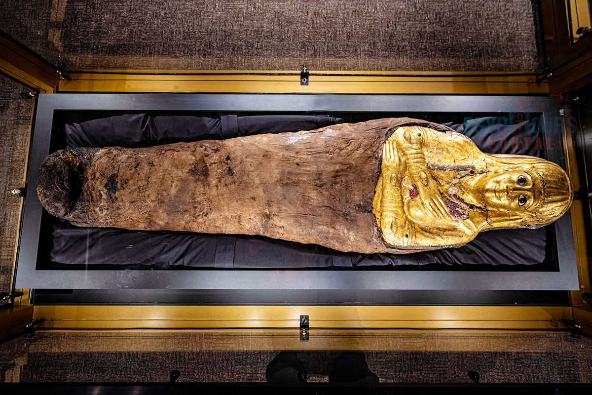 Hot Spring, Salt Lake, Golden Mummies Hall & Return to Cairo
