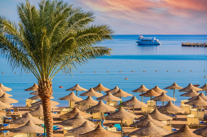 Free Day in Hurghada