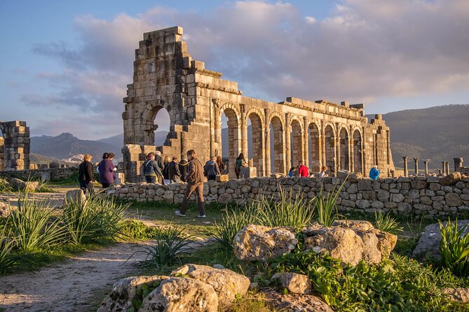 Volubilis & Meknes Tour
