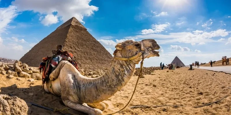 Pyramids of Giza, Great Sphinx & Grand Egyptian Museum