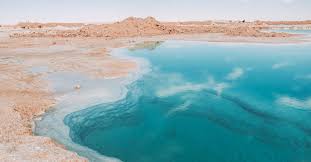chose